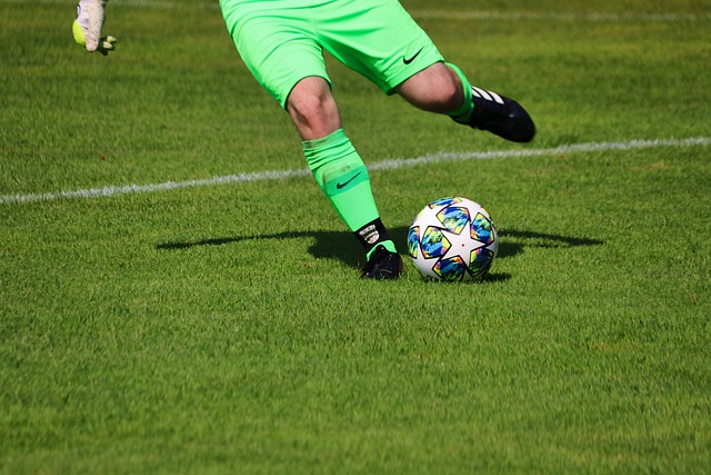 具备高度的 具备高度的