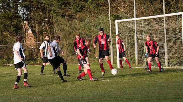 能展现从容 能展现从容