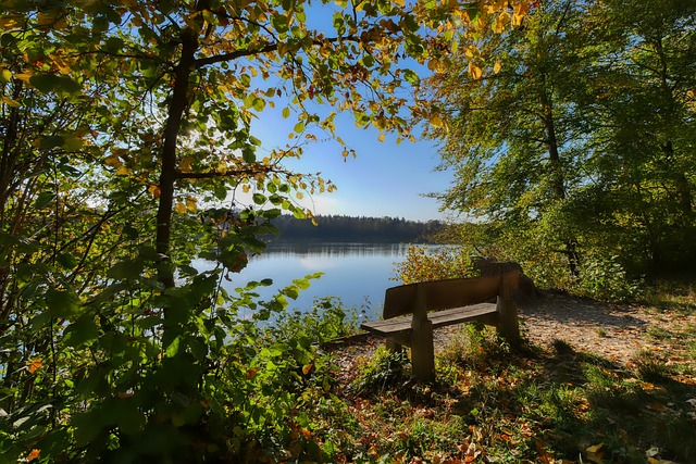 定冠军争夺 定冠军争夺