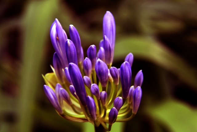 是一个综合 是一个综合