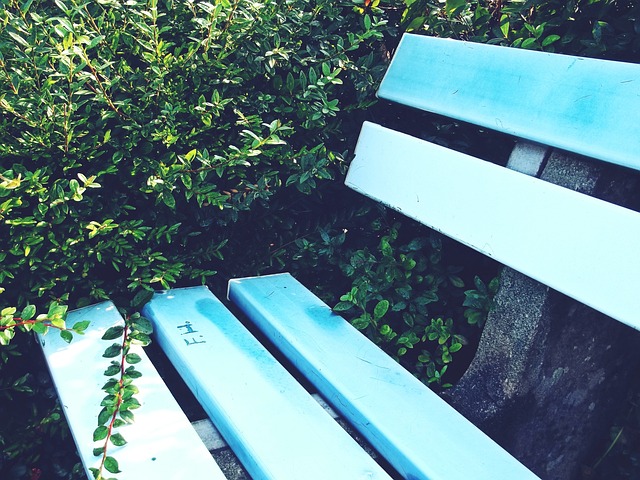 申京的个人 申京的个人