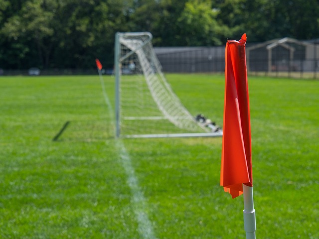 接触性运动 接触性运动