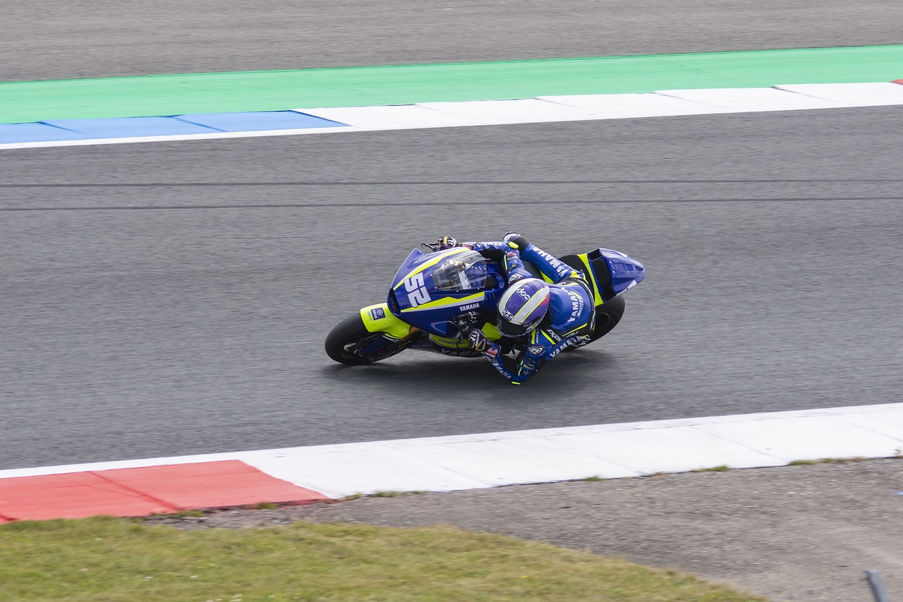 力和自律实 力和自律实